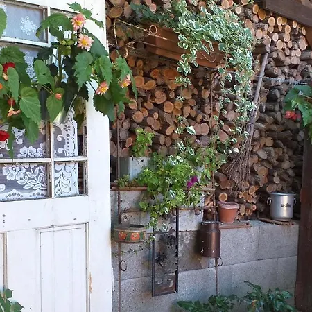 Kisfenyves Es Kontyos Vendeghaz Romhány